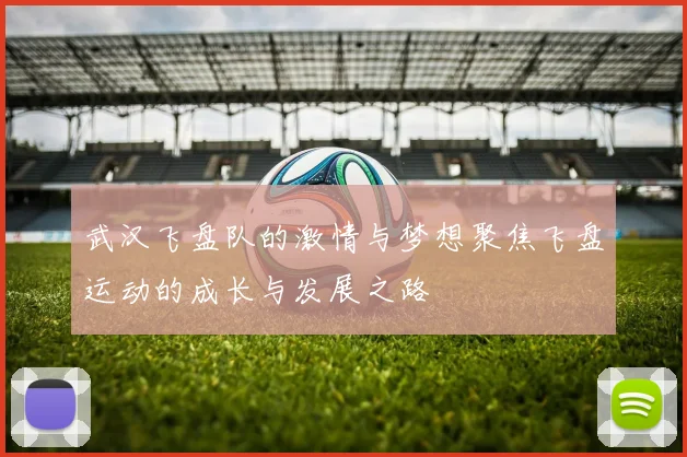 武汉飞盘队的激情与梦想聚焦飞盘运动的成长与发展之路